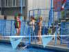 dsc06467_small.jpg